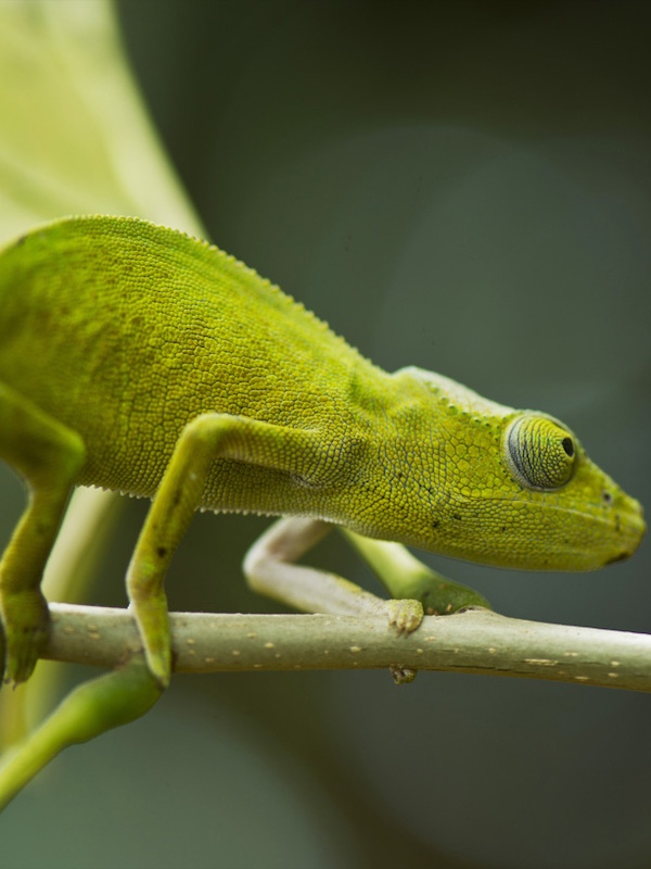 Madagaskar Reisen